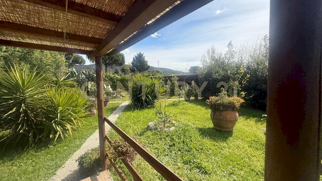 WhatsApp Image 2026-05-25 at 18.04.54 - Agricultural land Loc. quattrostrade, Orbetello - photo 3
