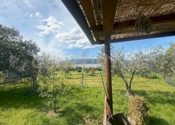 WhatsApp Image 2026-05-25 at 18.04.54 (1) - Agricultural land Loc. quattrostrade, Orbetello - photo 1