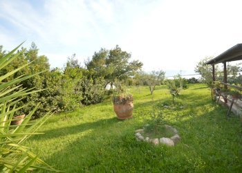 DSC_0811 - Agricultural land Loc. quattrostrade, Orbetello - photo 26