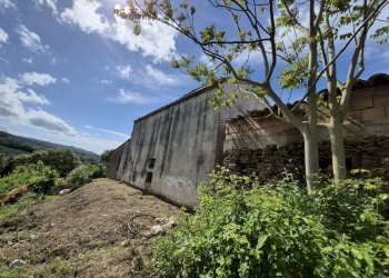 20260519_095423 - Villa Contrada San Filippo 7, Pianopoli - photo 11