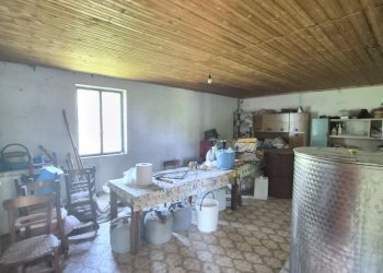 20260515_121252 - Villa Contrada San Filippo 7, Pianopoli - photo 12