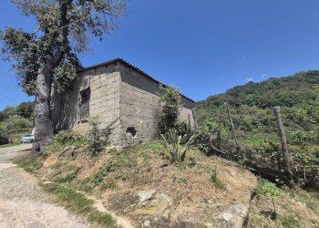 20260515_121352 - Villa Contrada San Filippo 7, Pianopoli - photo 18