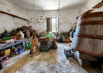 Rustico Via Cagnona, San Mauro Pascoli - foto 21