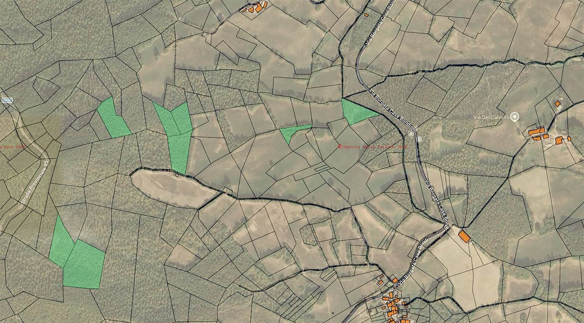 Terreno agricolo Villa Minozzo - foto 1