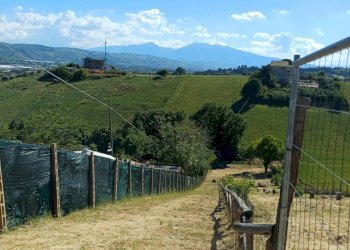 Foto 5 - Terreno agricolo 23, Monteprandone - foto 5