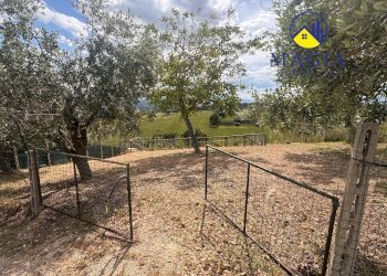 Foto 10 - Terreno agricolo 23, Monteprandone - foto 10