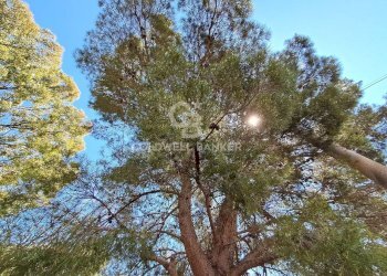 Foto 39 - Rustico Contrada Serranova
 
snc, Carovigno - foto 39