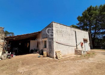 Foto 48 - Rustico Contrada Serranova
 
snc, Carovigno - foto 48