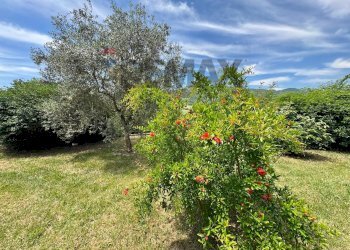 Giardino - Apartment Via Genovesi
 
2, Alvignano - photo 19