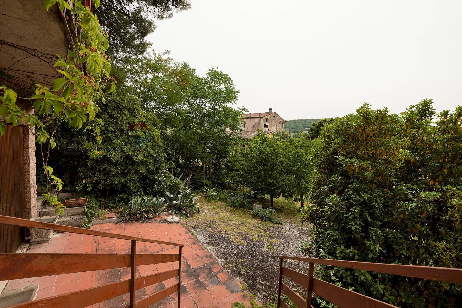 Giardino - Casa indipendente Serra San Quirico - foto 3