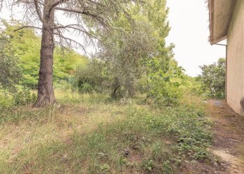 Giardino - Casa indipendente Serra San Quirico - foto 13