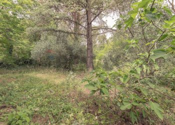 Giardino - Casa indipendente Serra San Quirico - foto 14