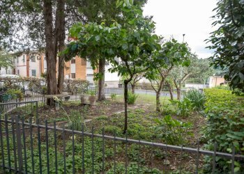 Giardino - Semi-detached house VIA DANTE ALIGHIERI
 
2, Rosora - photo 36