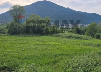 Vista delle montagne - Terreno agricolo Via Como 56, Brivio - foto 5