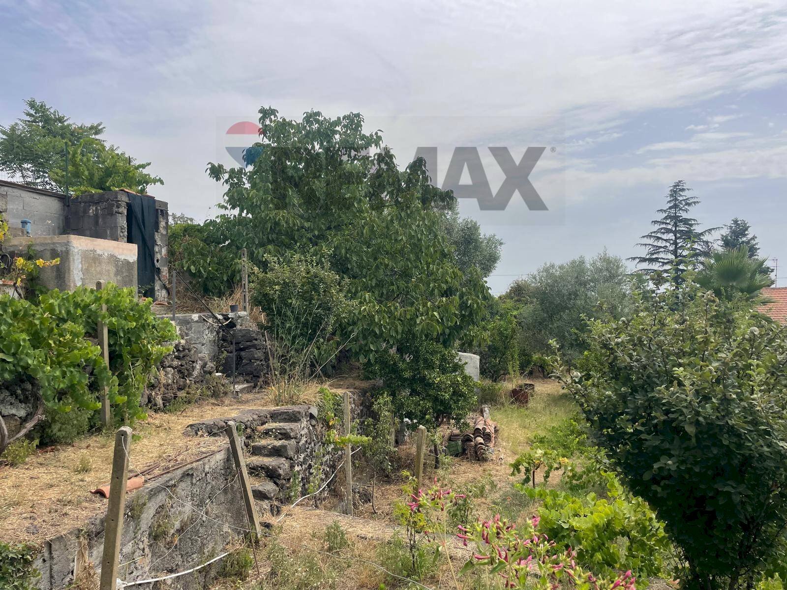 Giardino - Casa indipendente via Scacchiere, Zafferana Etnea - foto 2