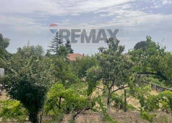 Giardino - Casa indipendente via Scacchiere, Zafferana Etnea - foto 3