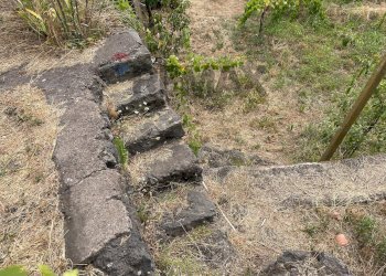 Giardino - Casa indipendente via Scacchiere, Zafferana Etnea - foto 5