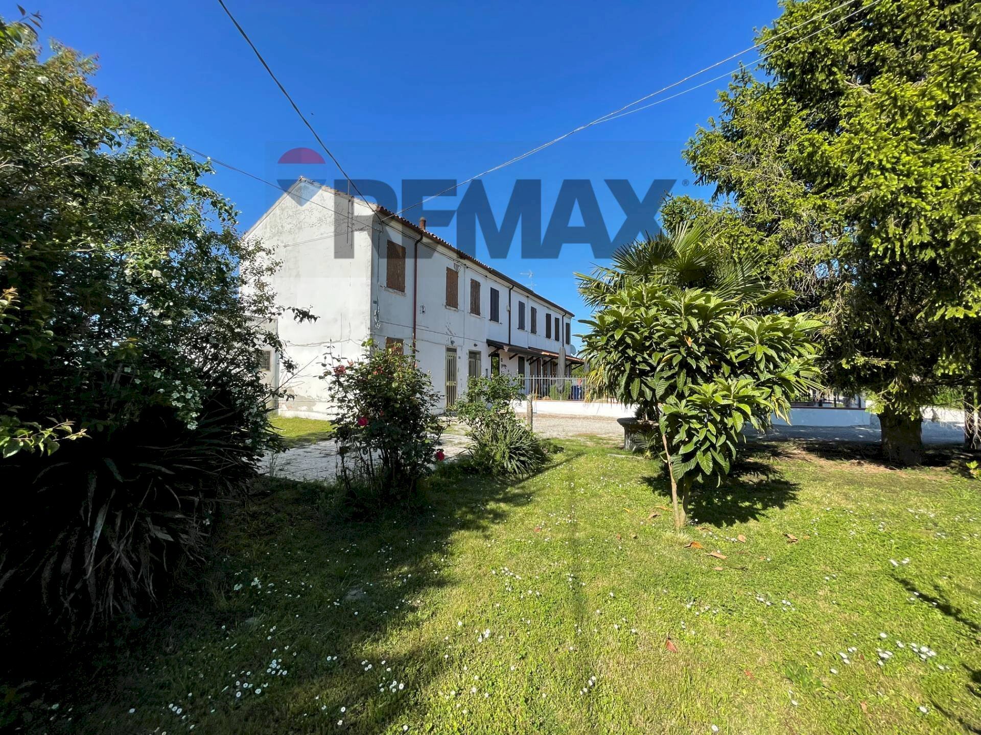 Giardino - Casa semi indipendente Via Argine Po
25, Fiscaglia - foto 2
