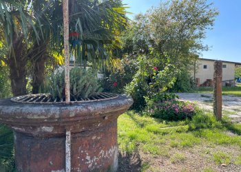Giardino - Semi-detached house Via Argine Po
 
25, Fiscaglia - photo 33