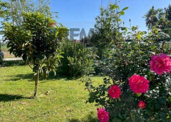 Giardino - Semi-detached house Via Argine Po
 
25, Fiscaglia - photo 35