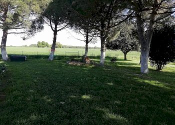 Giardino - Rustico Lagosanto - foto 6