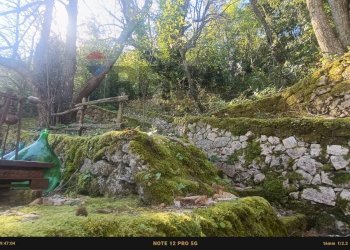 Giardino - Rustic Contrada Costa Carbonara km 48, 500 - PV9W+XM5
 
SNC, Monte Sant'Angelo - photo 24