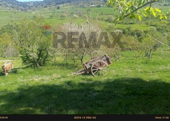 Giardino - Rustic Contrada Costa Carbonara km 48, 500 - PV9W+XM5
 
SNC, Monte Sant'Angelo - photo 26