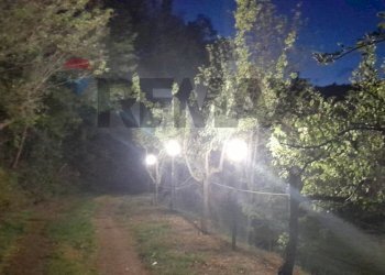 Non correlato - Rustic Contrada Costa Carbonara km 48, 500 - PV9W+XM5
 
SNC, Monte Sant'Angelo - photo 27