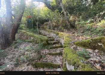 Giardino - Rustic Contrada Costa Carbonara km 48, 500 - PV9W+XM5
 
SNC, Monte Sant'Angelo - photo 28