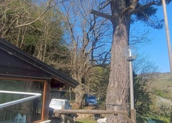 Casa all\'aperto - Rustic Contrada Costa Carbonara km 48, 500 - PV9W+XM5
 
SNC, Monte Sant'Angelo - photo 35