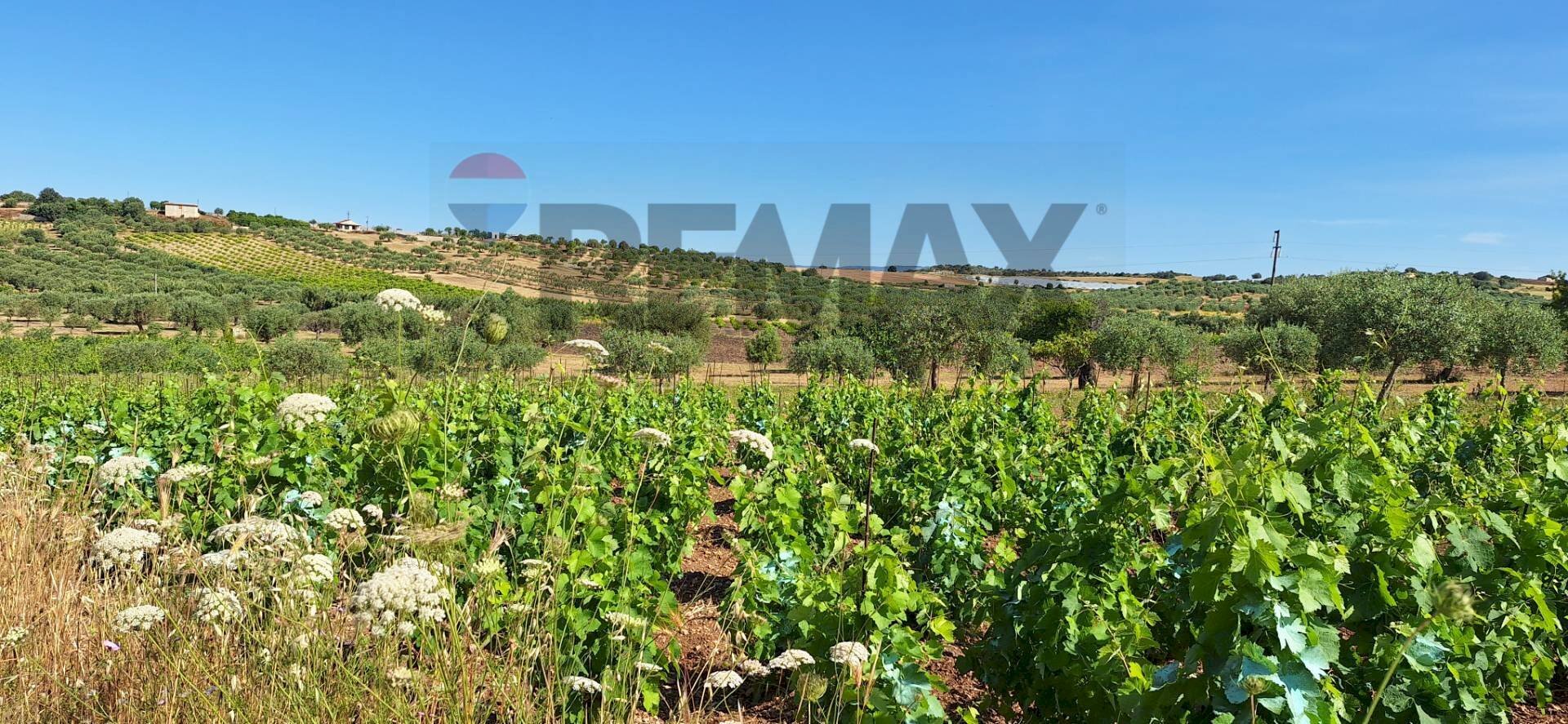 Vista delle montagne - Terreno agricolo Contrada Benuini, Noto - foto 2