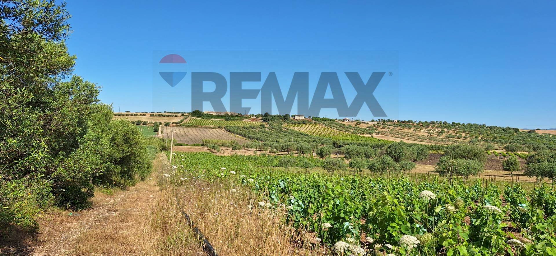 Vista delle montagne - Terreno agricolo Contrada Benuini, Noto - foto 3
