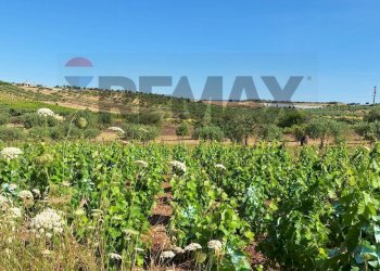 Vista delle montagne - Terreno agricolo Contrada Benuini, Noto - foto 2
