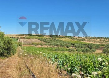 Vista delle montagne - Terreno agricolo Contrada Benuini, Noto - foto 3