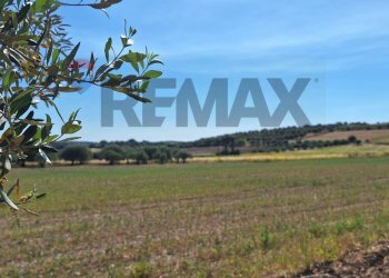 Giardino - Terreno agricolo Contrada Benuini, Noto - foto 12