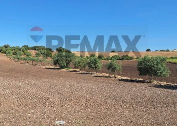 Vista dell\'acqua - Terreno agricolo Contrada Benuini, Noto - foto 15