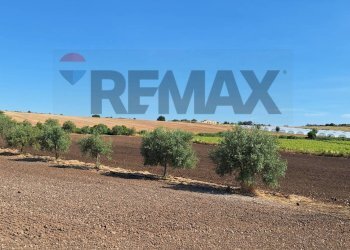 Giardino - Terreno agricolo Contrada Benuini, Noto - foto 17