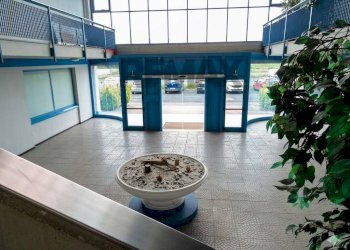 Ricezione / Lobby - Capannone Piazzale schumm, Alpignano - foto 9
