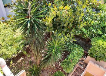 Giardino - Apartment Via Bruno Buozzi
 
28, Falconara Marittima - photo 27