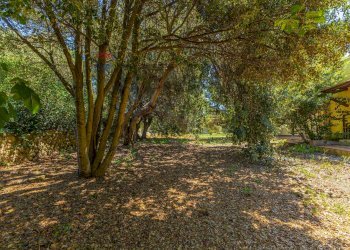 Giardino - Villa S.V. Li Cadduffi
 
1H, Sassari - photo 117