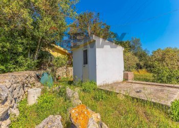 Casa all\'aperto - Villa S.V. Li Cadduffi
 
1H, Sassari - photo 121
