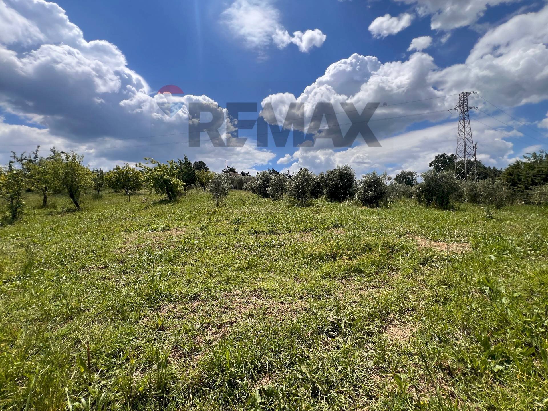 Giardino - Terreno agricolo C/da Pescare
snc, Fragneto Monforte - foto 3