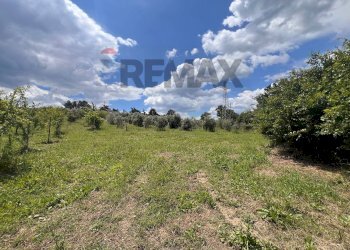 Vista delle montagne - Terreno agricolo C/da Pescare
snc, Fragneto Monforte - foto 2