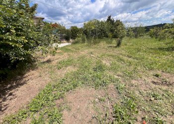 Giardino - Terreno agricolo C/da Pescare
snc, Fragneto Monforte - foto 10