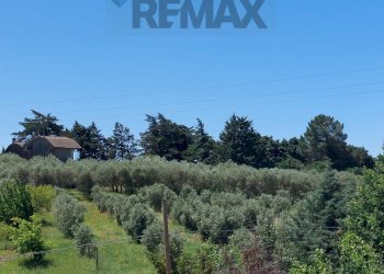 Vista delle montagne - Terreno agricolo C/da Pescare
 
snc, Fragneto Monforte - foto 5