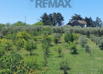 Giardino - Terreno agricolo C/da Pescare
 
snc, Fragneto Monforte - foto 6