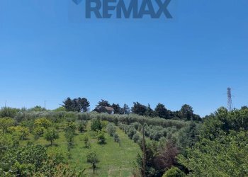 Vista delle montagne - Terreno agricolo C/da Pescare
 
snc, Fragneto Monforte - foto 7