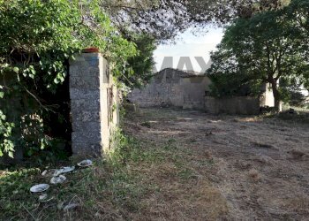 Giardino - Rustico C.da Gelso
 
snc, Ragusa - foto 3