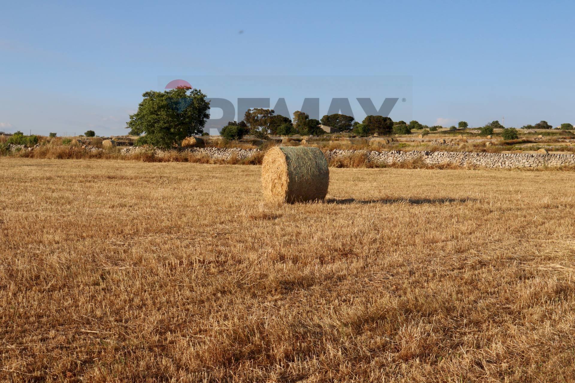Giardino - Terreno agricolo C.da Gelso, Ragusa - foto 2