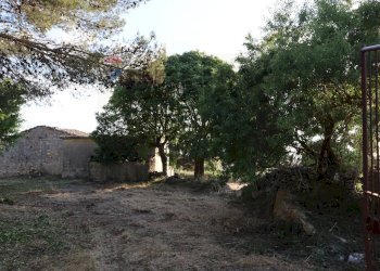 Giardino - Rustico C.da Gelso, Ragusa - foto 7